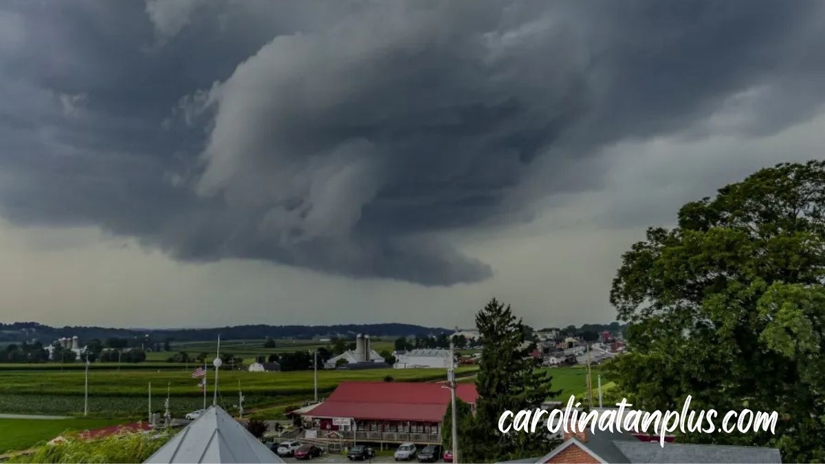 benefits of germkezmis1212